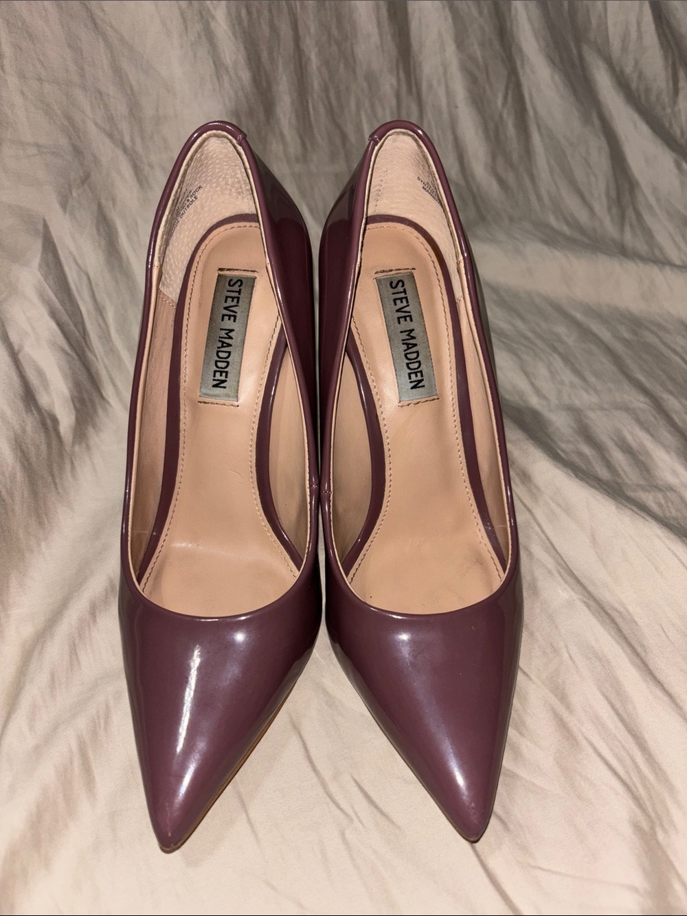 Steve Madden Women's Pointed Pump in Plum Wine